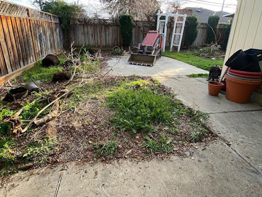 gardenpro_before-backyard01